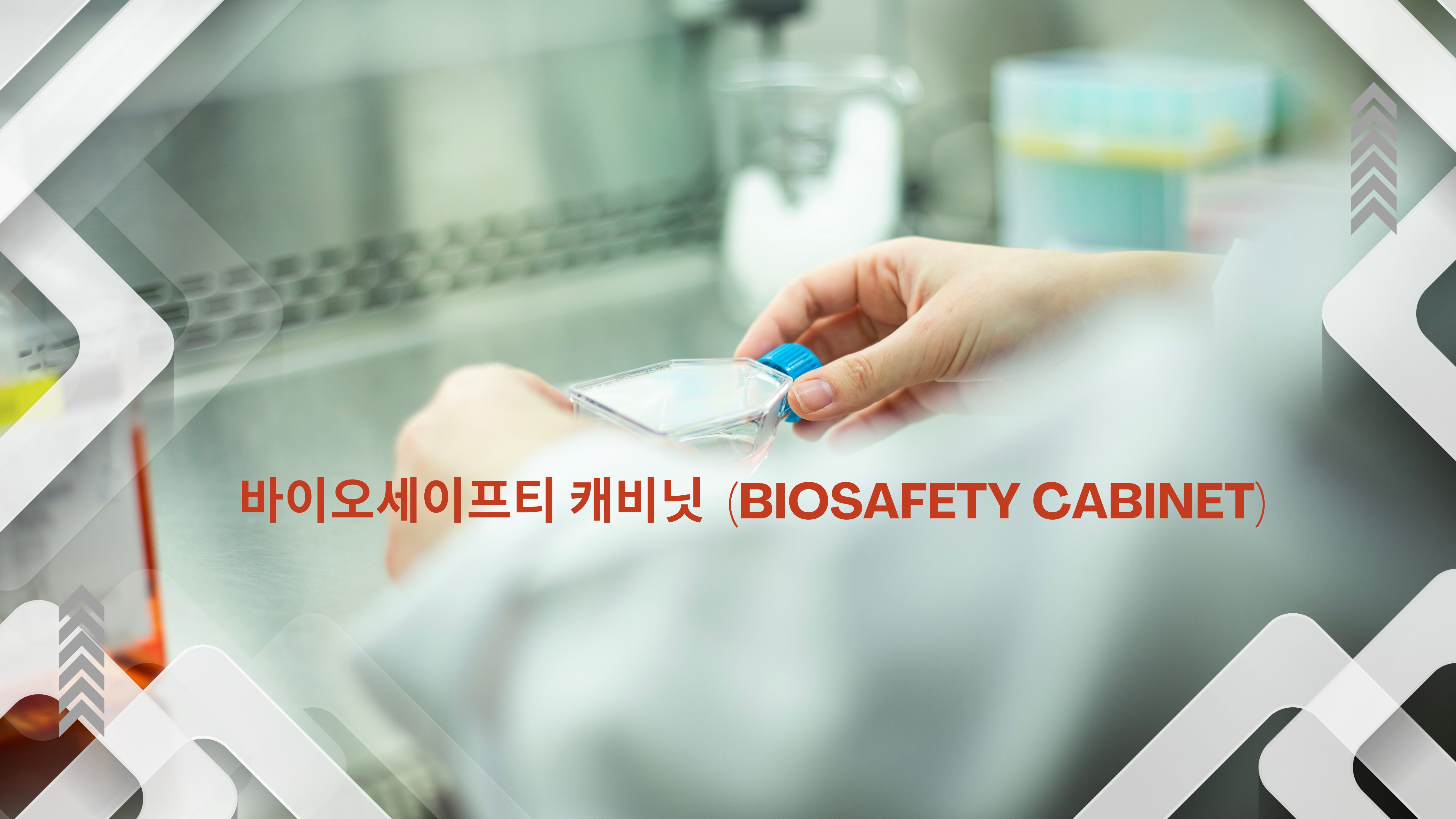 게시글 썸네일