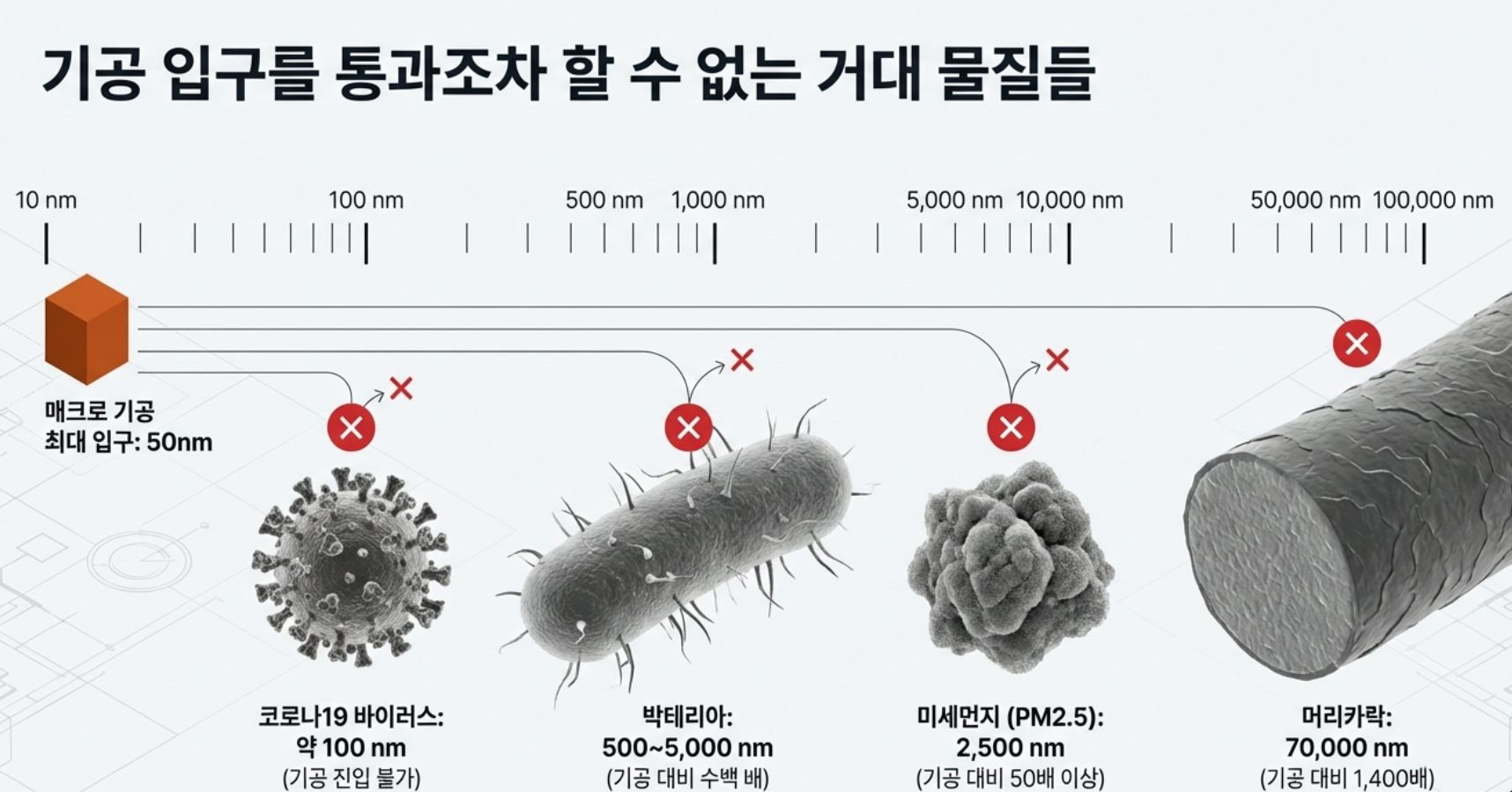 최대 입구 50nm인 활성탄 매크로 기공과 거대 물질의 크기 비교 차트. 100nm인 코로나19 바이러스, 500~5,000nm인 박테리아, 2,500nm의 미세먼지(PM2.5), 70,000nm의 머리카락이 기공을 통과할 수 없음을 보여주는 인포그래픽 | 태강 활성탄 기술