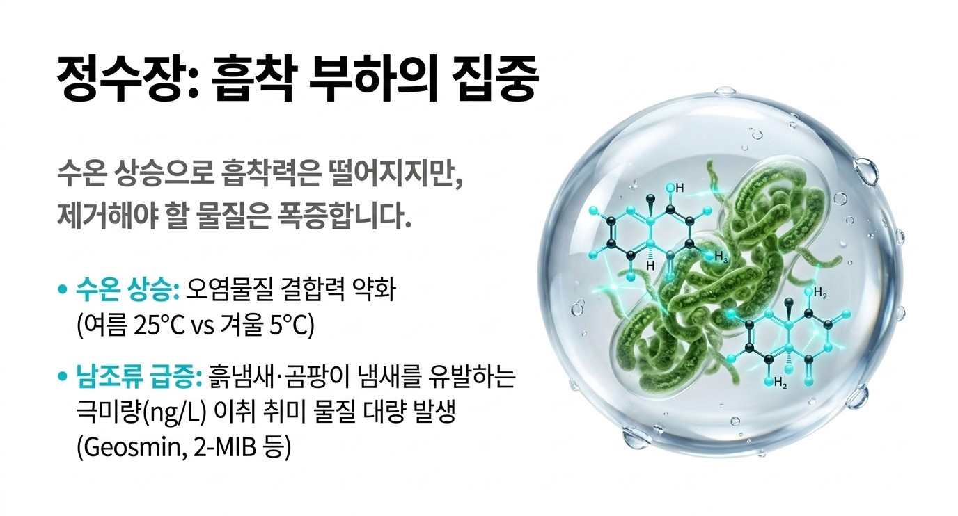 여름철 정수장 활성탄 수요, 수온 상승과 남조류 급증에 따른 활성탄 수요 폭증