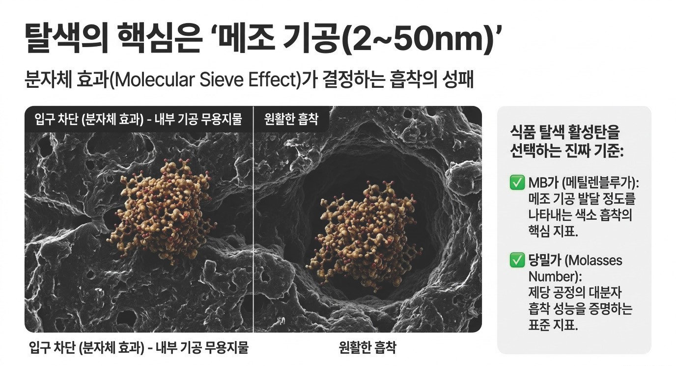 식품 탈색 활성탄 선택 핵심 지표 - 메조 기공(2~50nm) 부족 시 분자체 효과(Molecular Sieve Effect)로 색소 분자가 기공 입구에서 차단, MB가·당밀가가 요오드가보다 탈색 성능의 정확한 기준인 이유