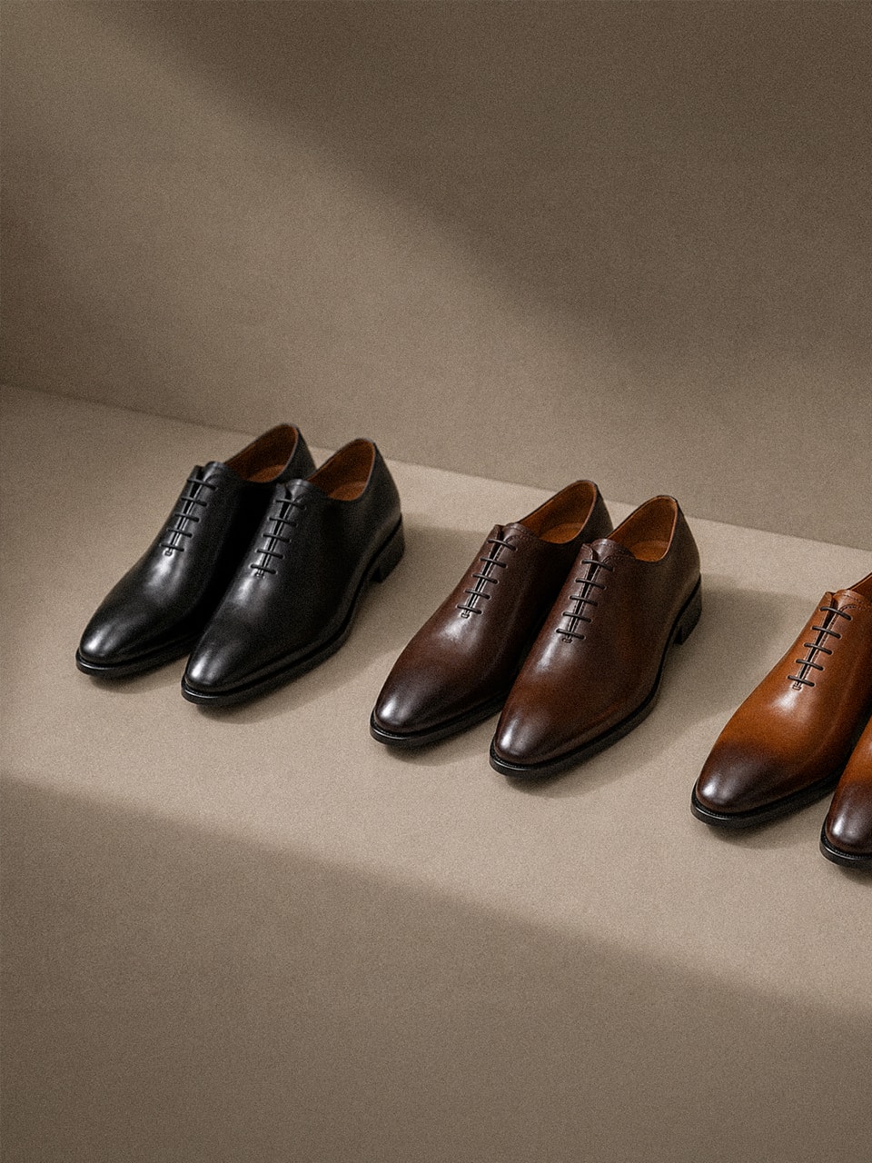 Ardor Oxford #1002 [Black]