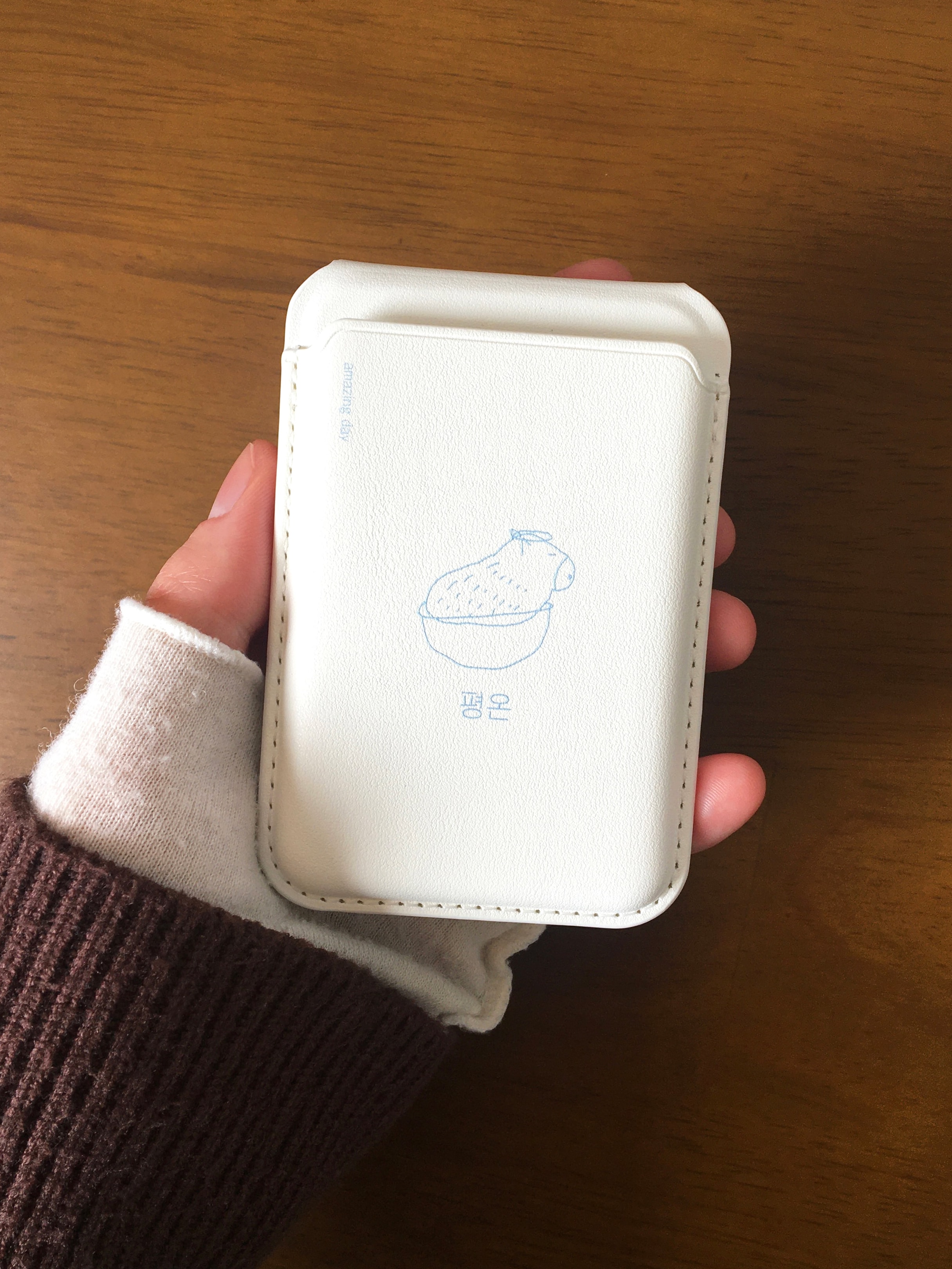 평온의 카피바라 맥세이프 카드지갑