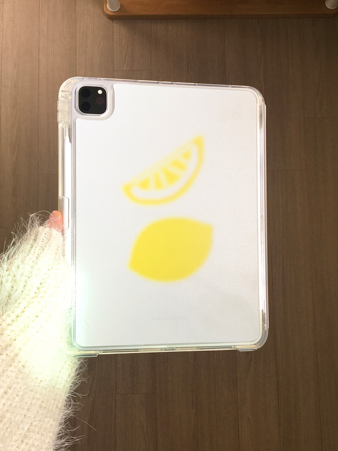 레몬 아이패드 케이스