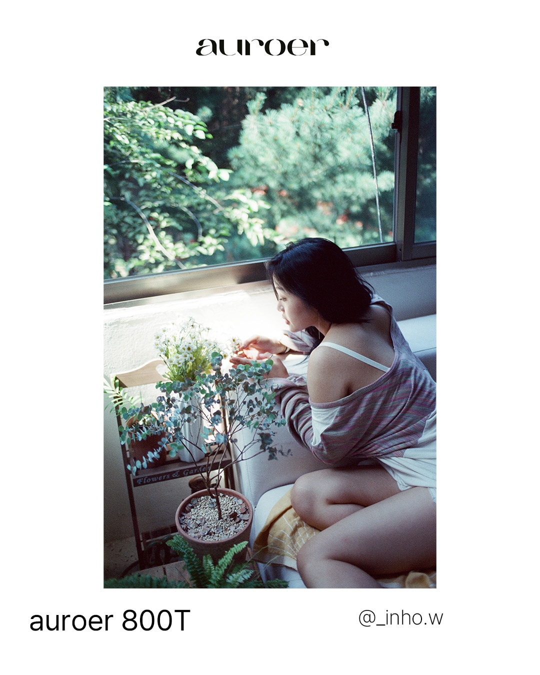 [어로어 1주년 기념] 어로어 800T 컬러필름 35mm / 영화용 필름 36매 (C-41) 컬러현상가능 (ISO800)  10롤 세트