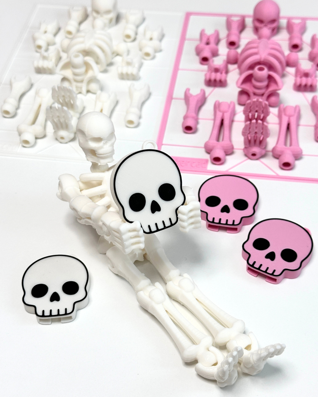 미스터 본즈 키트 (MR. BONES KIT)
