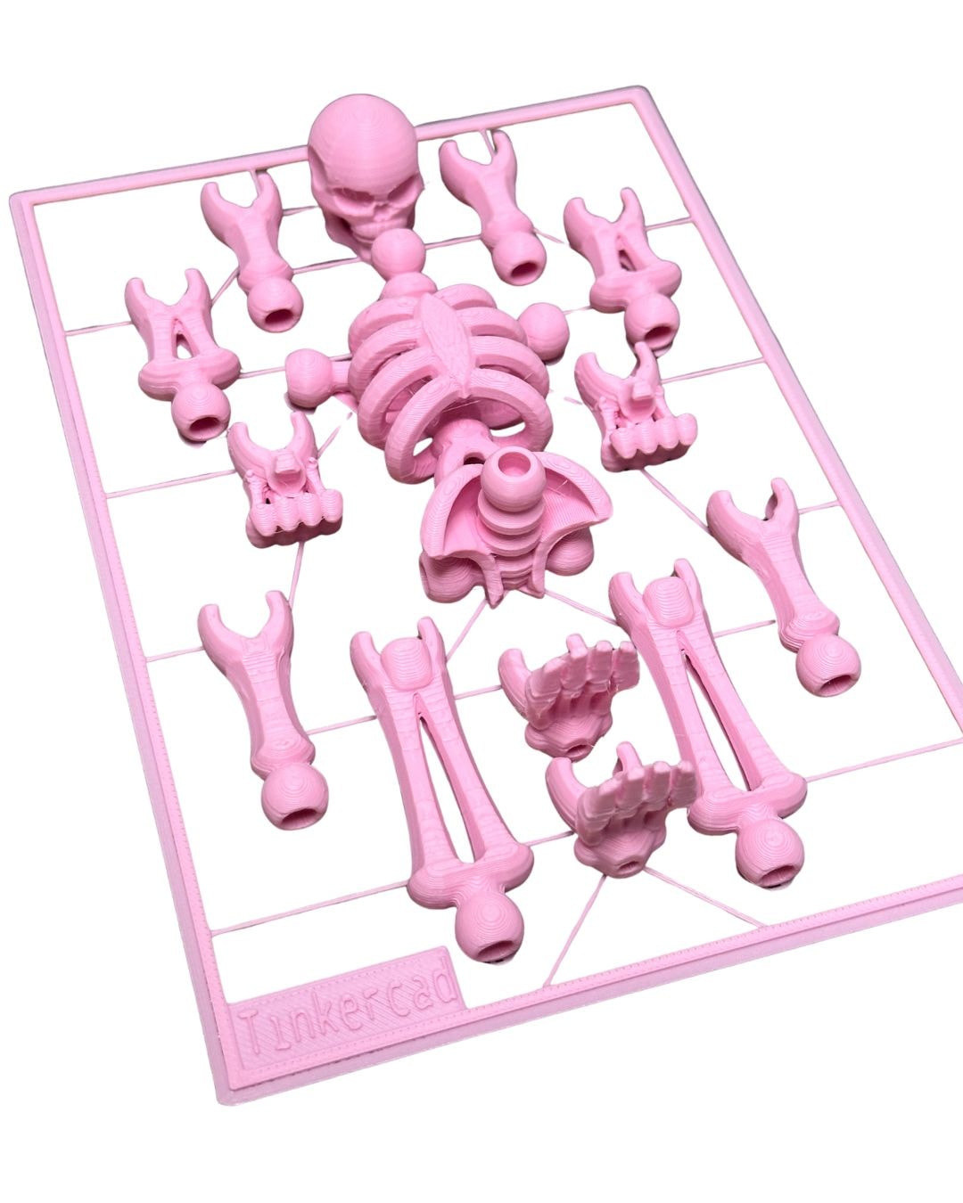 미스터 본즈 키트 (MR. BONES KIT)