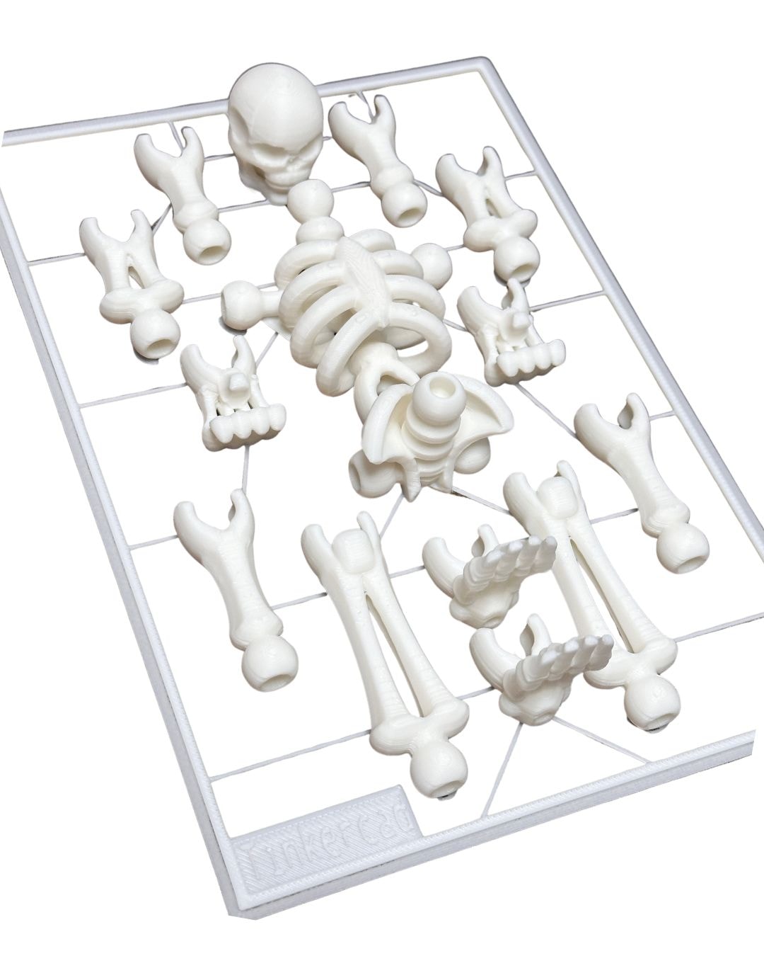 미스터 본즈 키트 (MR. BONES KIT)