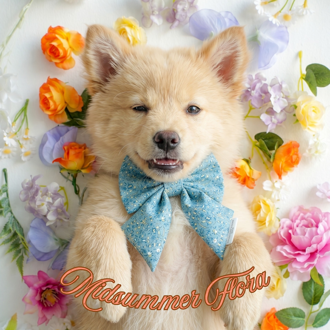 Midsummer Flora Bow (5 colors)