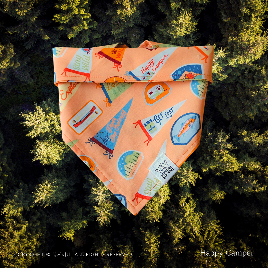 Scout Bandana (4 colors)