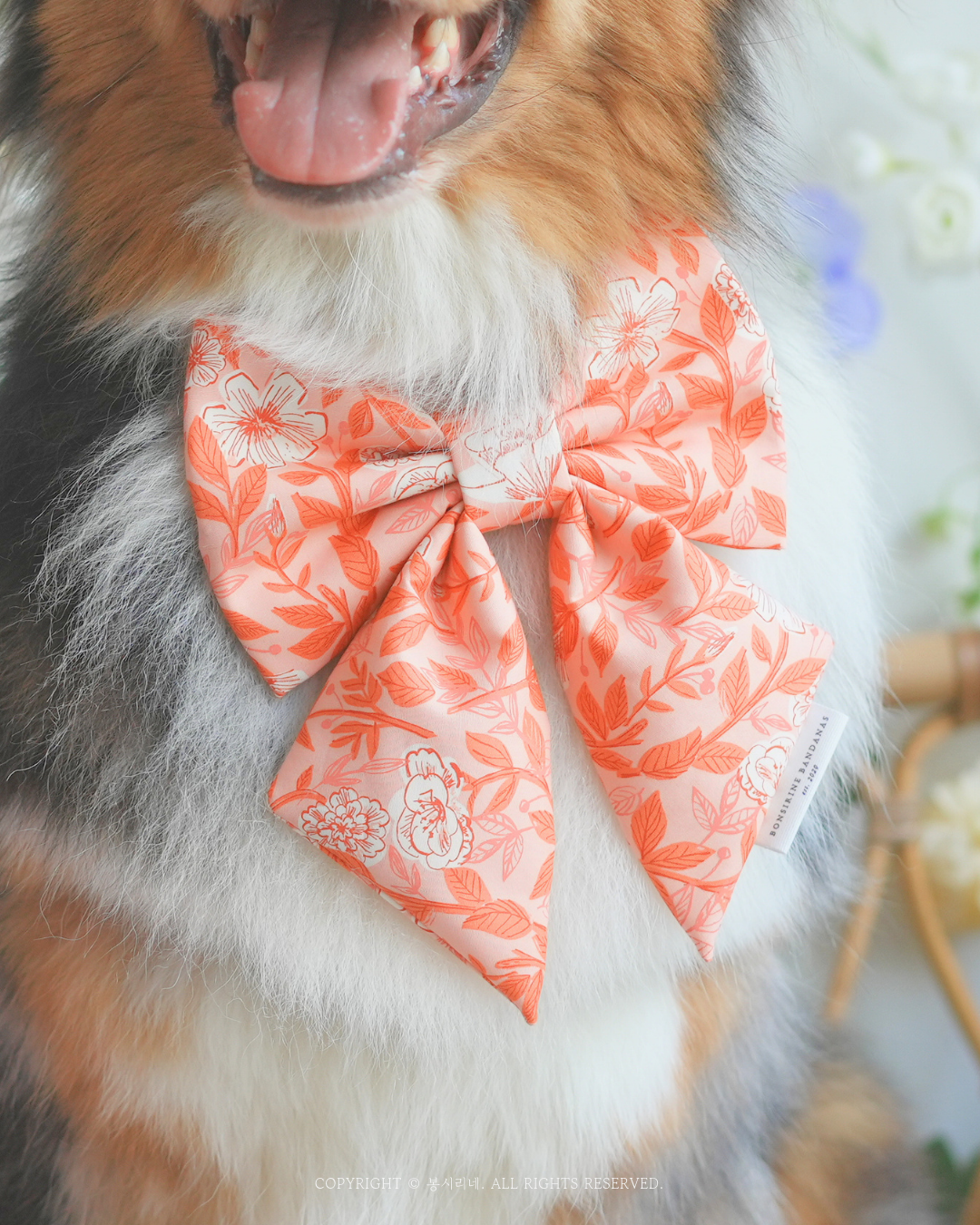 Rose Petal Bow