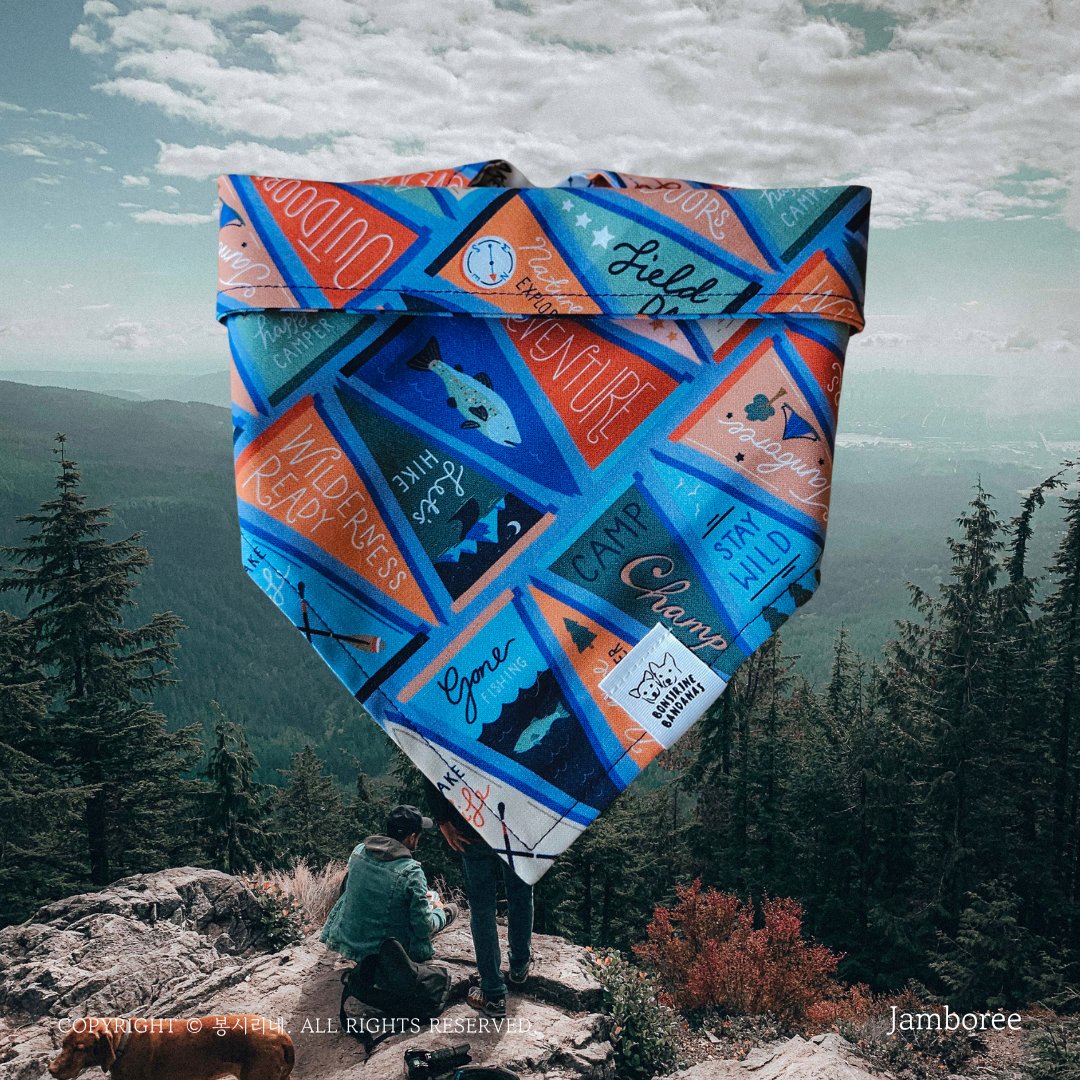 Scout Bandana (4 colors)