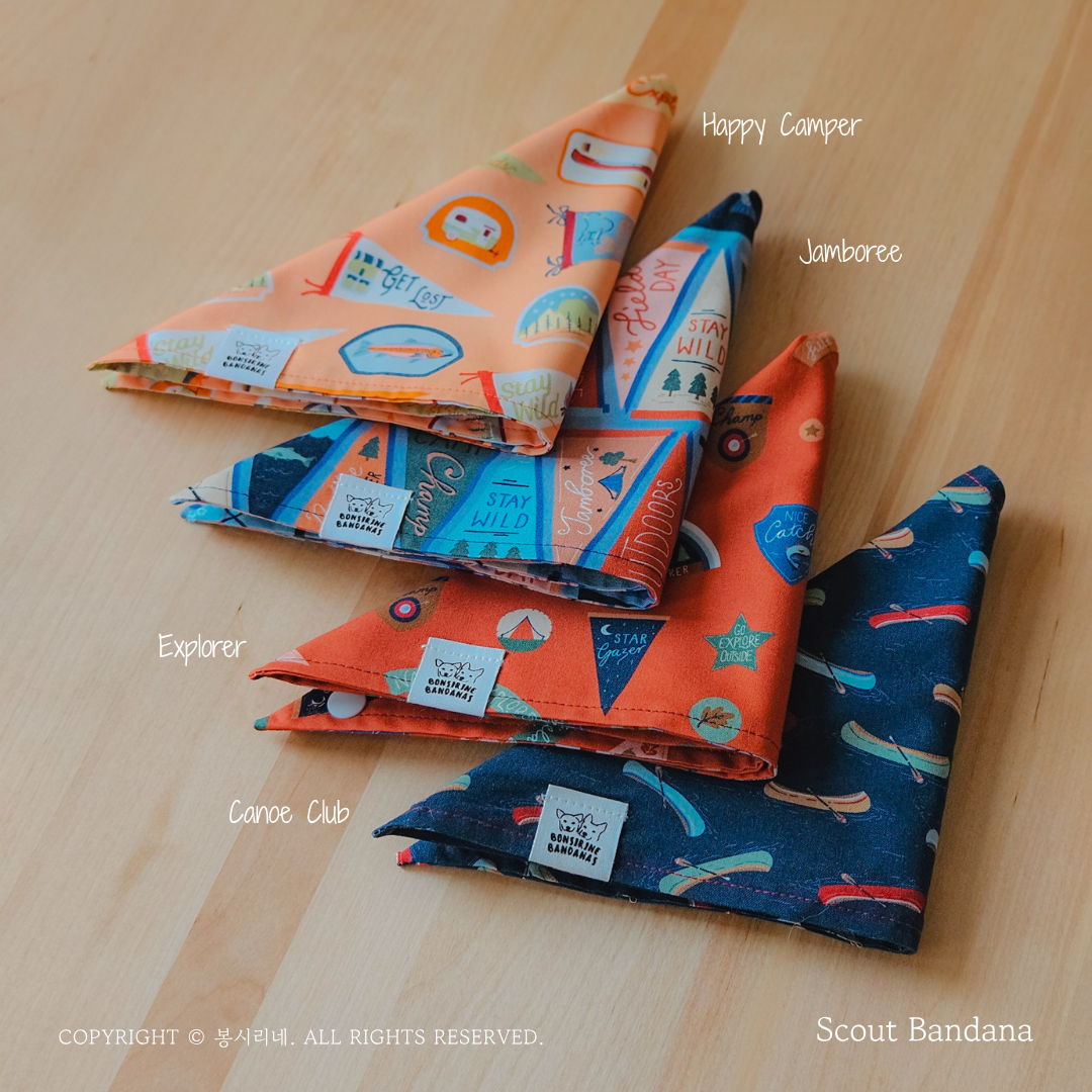 Scout Bandana (4 colors)