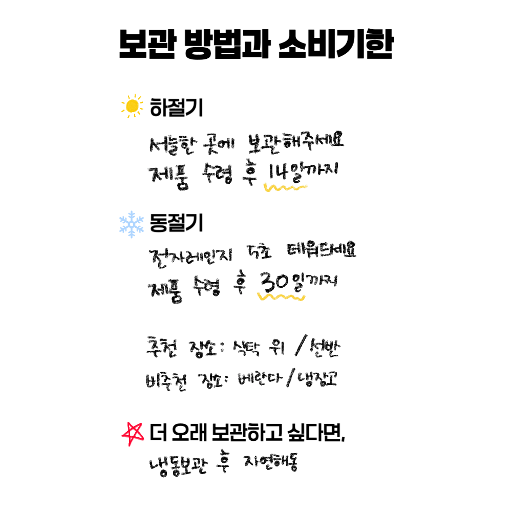 오란다 40개입 선물세트