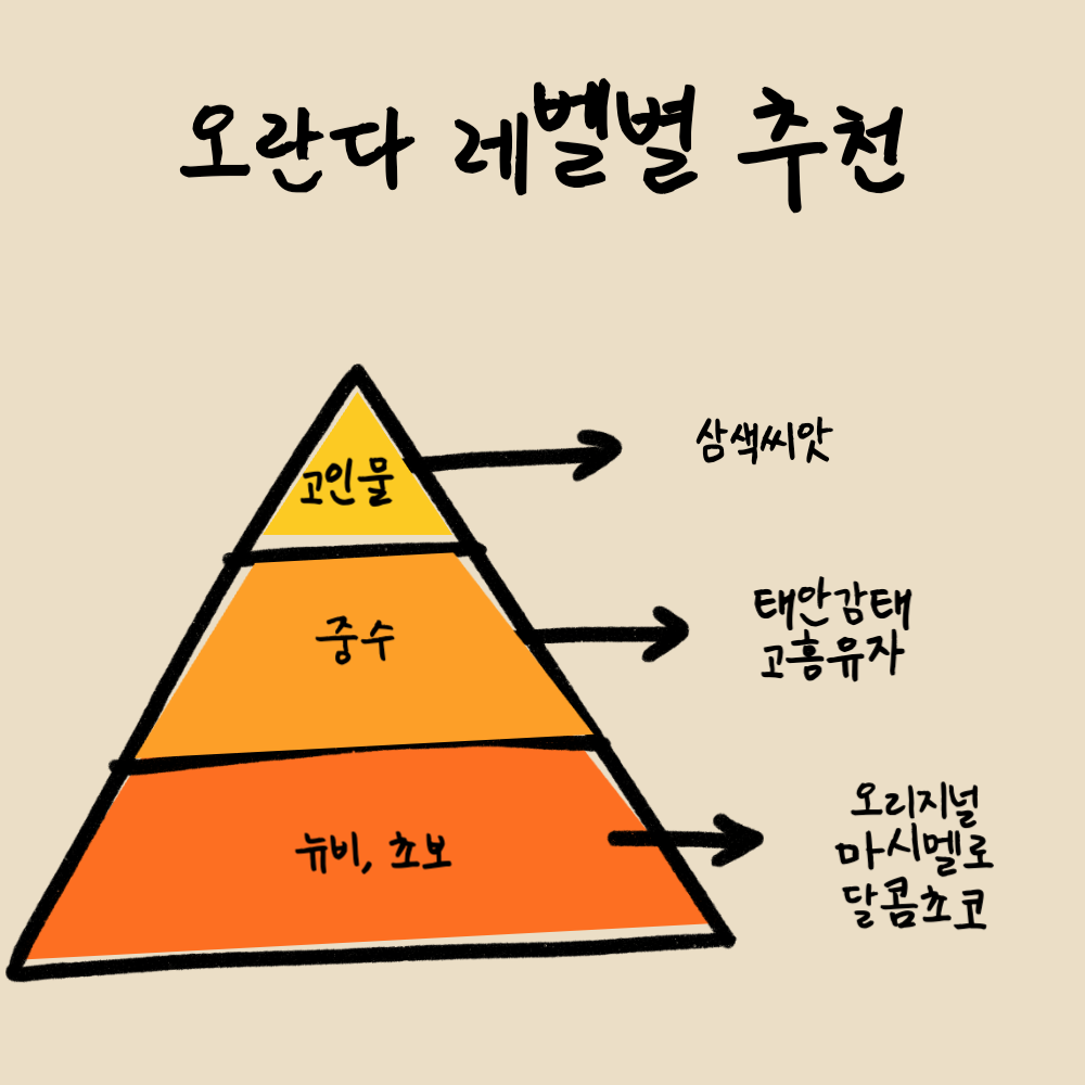 초코 마시멜로 오란다