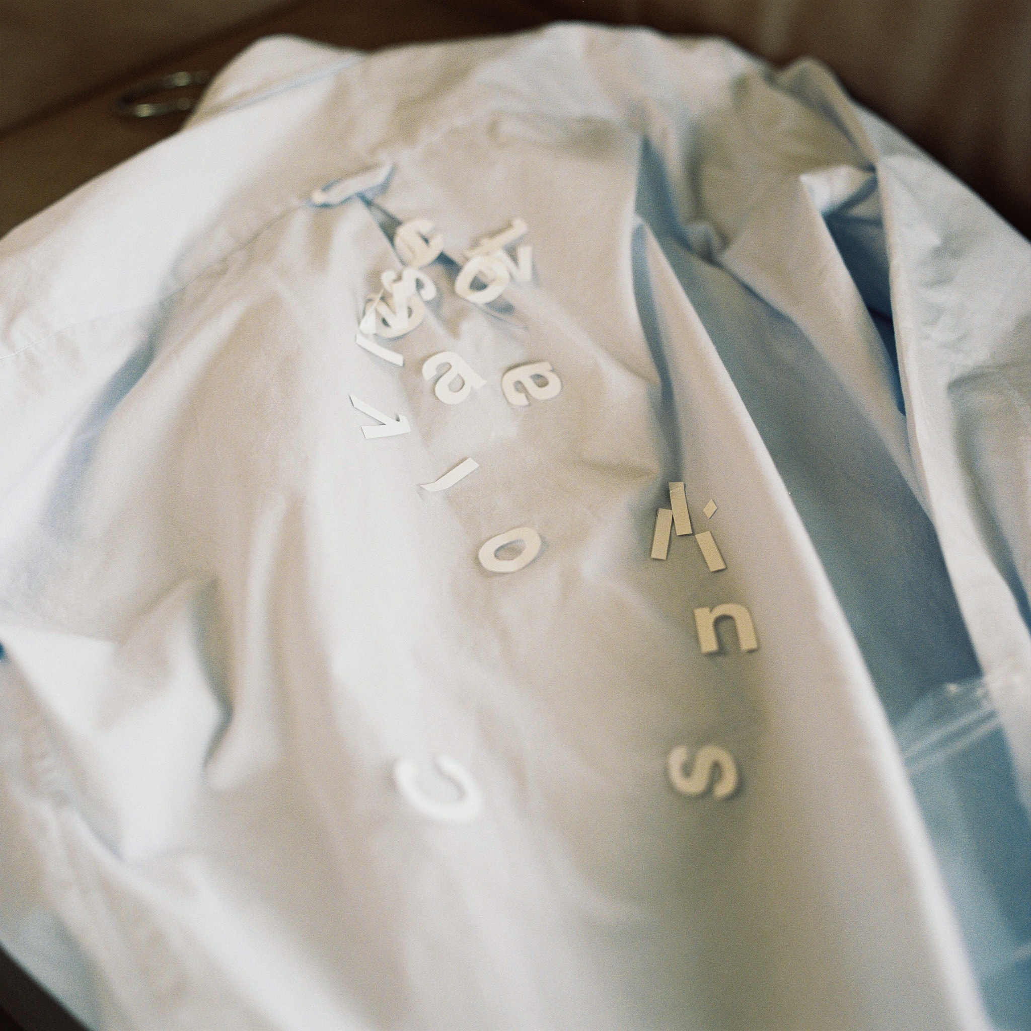 Bird's Shirt (office blue)