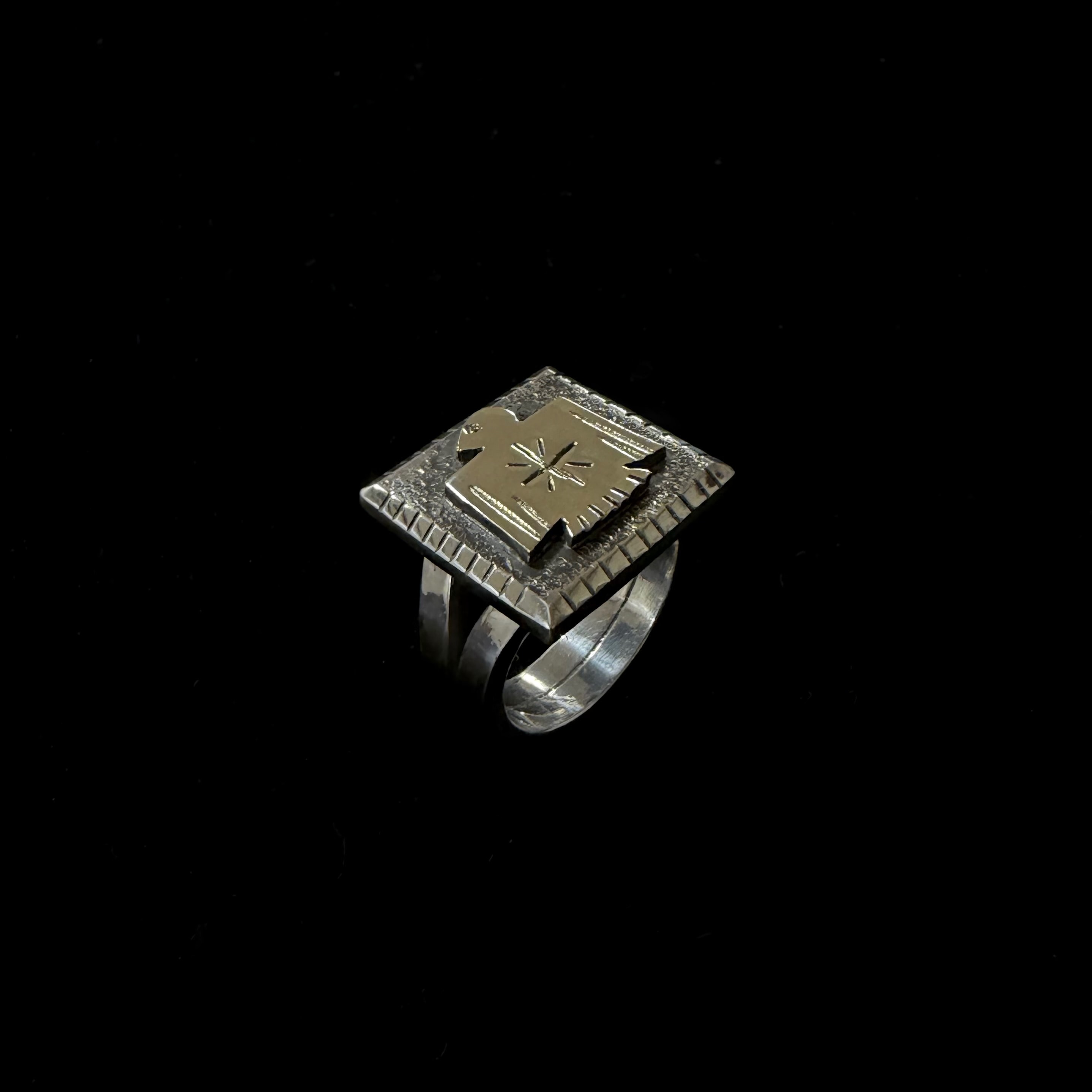 Thunderbird ring 13
