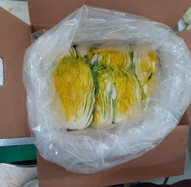 절임배추 20kg
