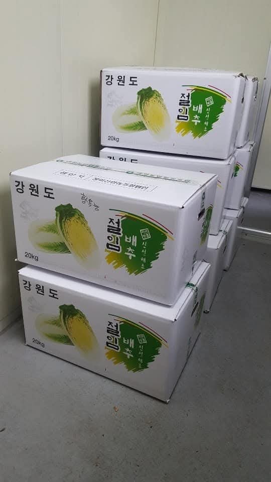 절임배추 20kg