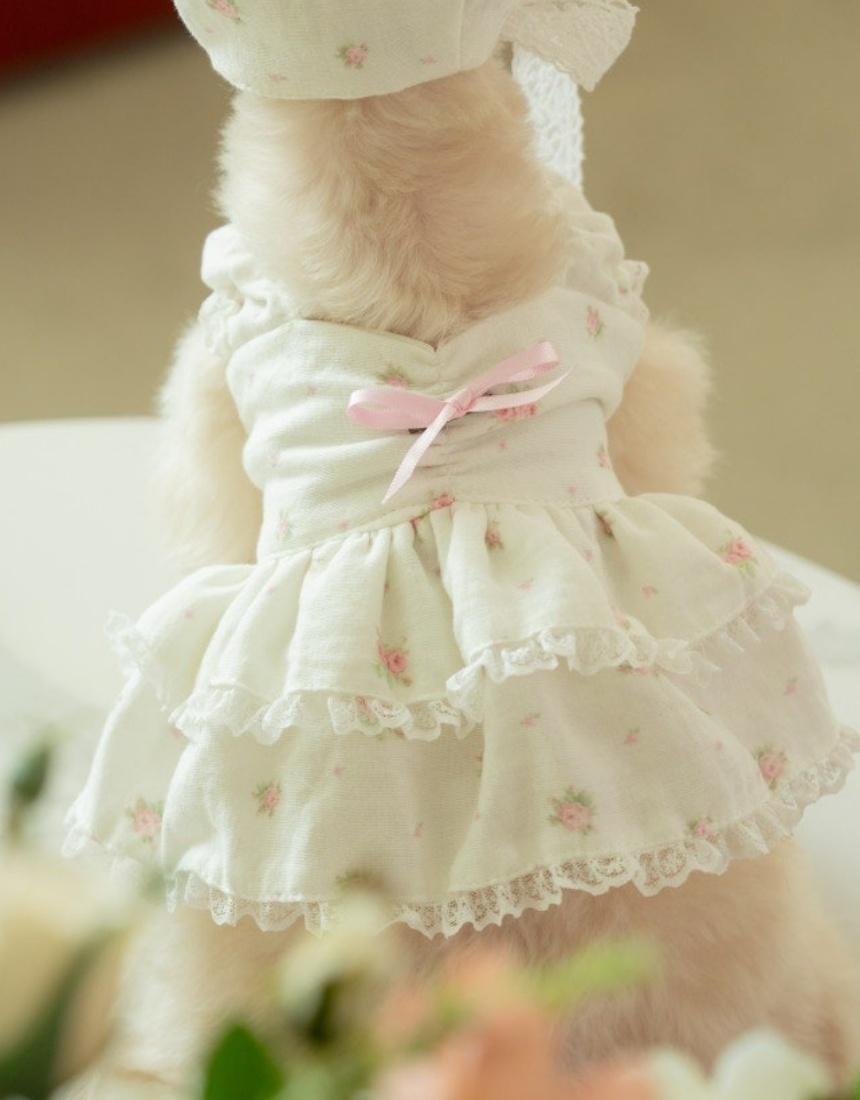 (4차 재입고) mini rose gauze dress(미니 로제 거즈 원피스)