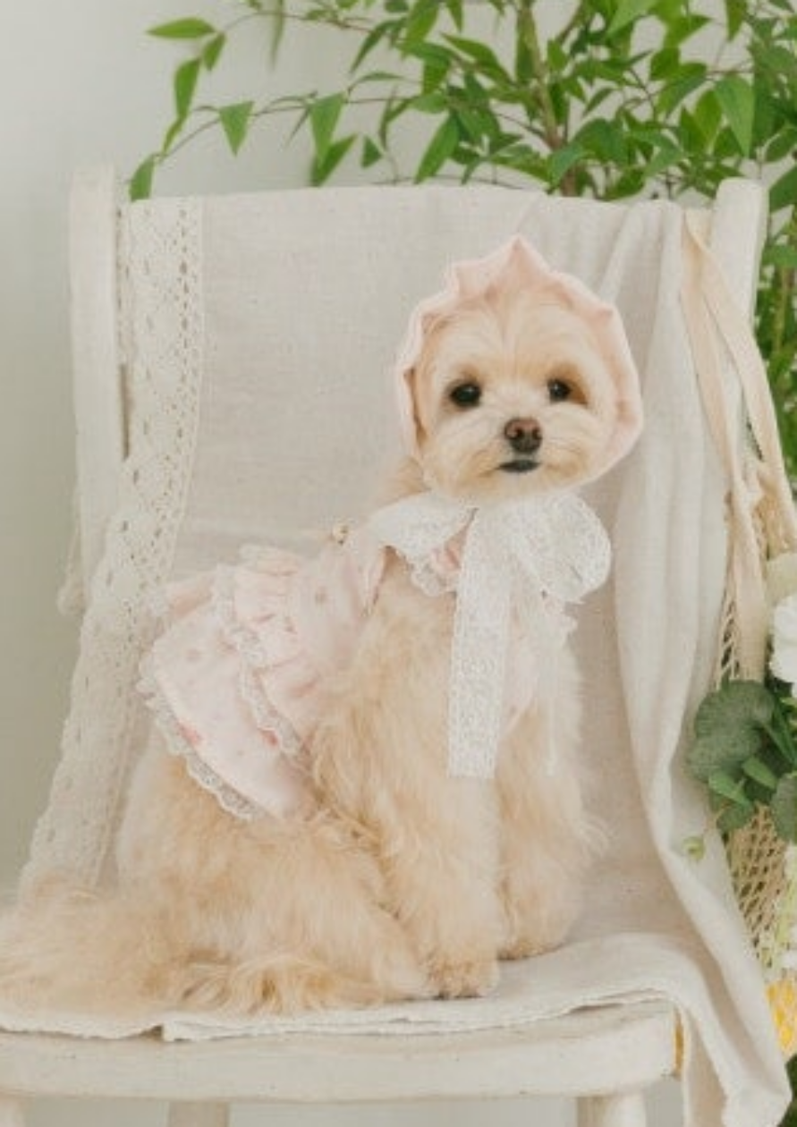 (s/s 한정판매) mini rose gauze dress(미니 로제 거즈 원피스)- 베이비 핑크