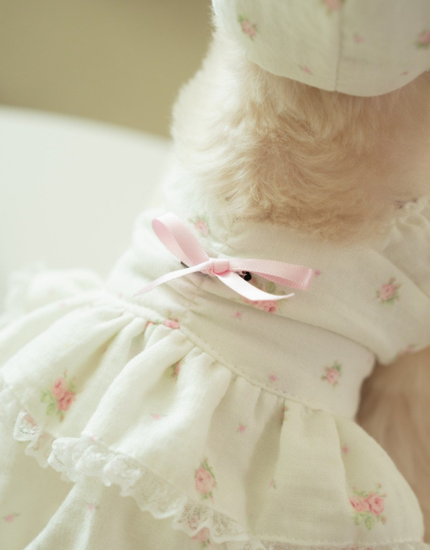(4차 재입고) mini rose gauze dress(미니 로제 거즈 원피스)