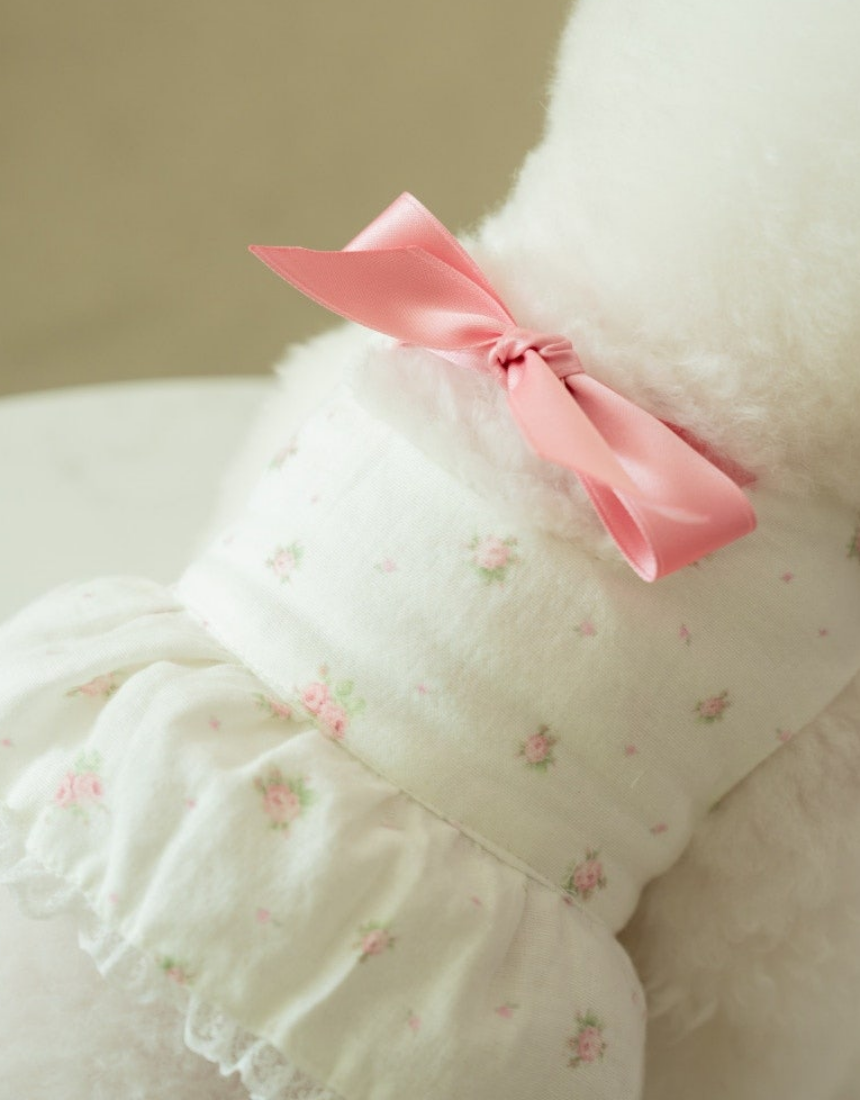 (2차 재입고)Mini Rose Gauze Crop - T (미니 로제 거즈 크롭티)
