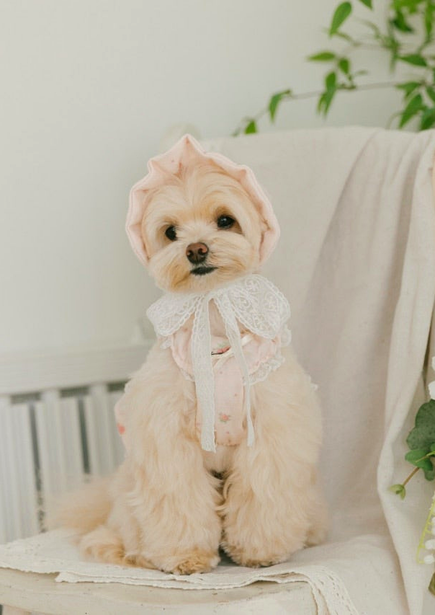 mini rose bonnet(미니 로즈 보닛)- 베이비 핑크