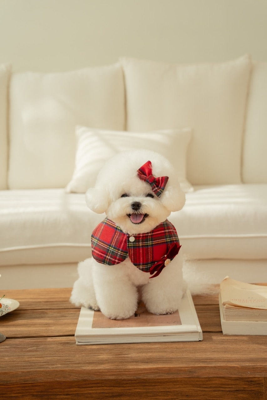 Scarlet Check Cape (스칼렛 체크 케이프) + 헤어핀 set - 2colors