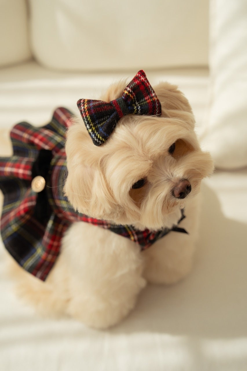 Scarlet Check hairpin (헤어핀) - 2colors