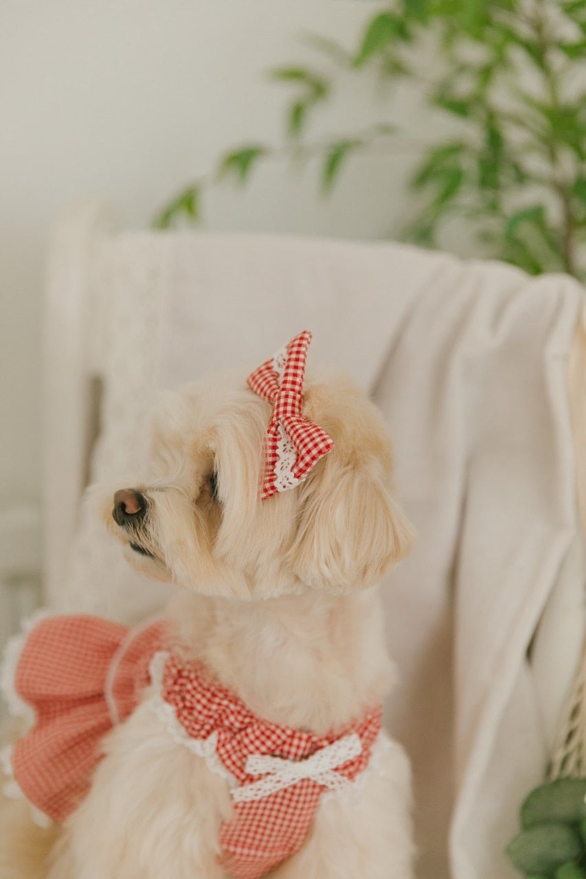 Cherry Red Belle Hairpin (체리 레드 벨 헤어핀)