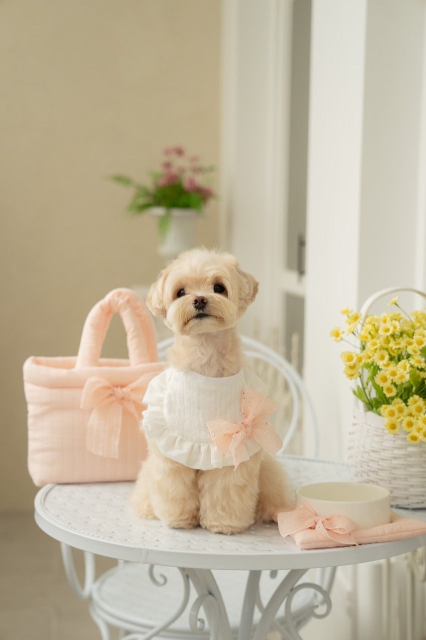 𝐁𝐚𝐛𝐲 𝐃𝐨𝐥𝐥 𝐒𝐞𝐫𝐢𝐞𝐬 Set - 베이비 핑크
