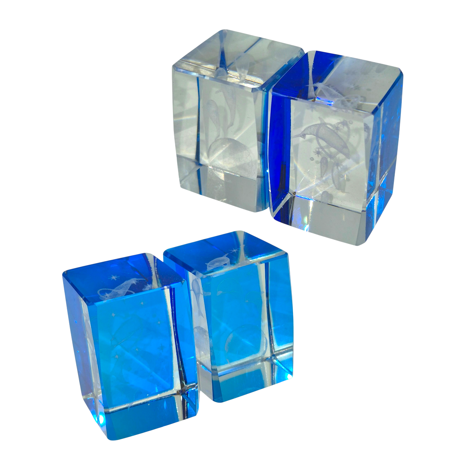 90s 크리스탈 유영 돌고래 3D 오브제