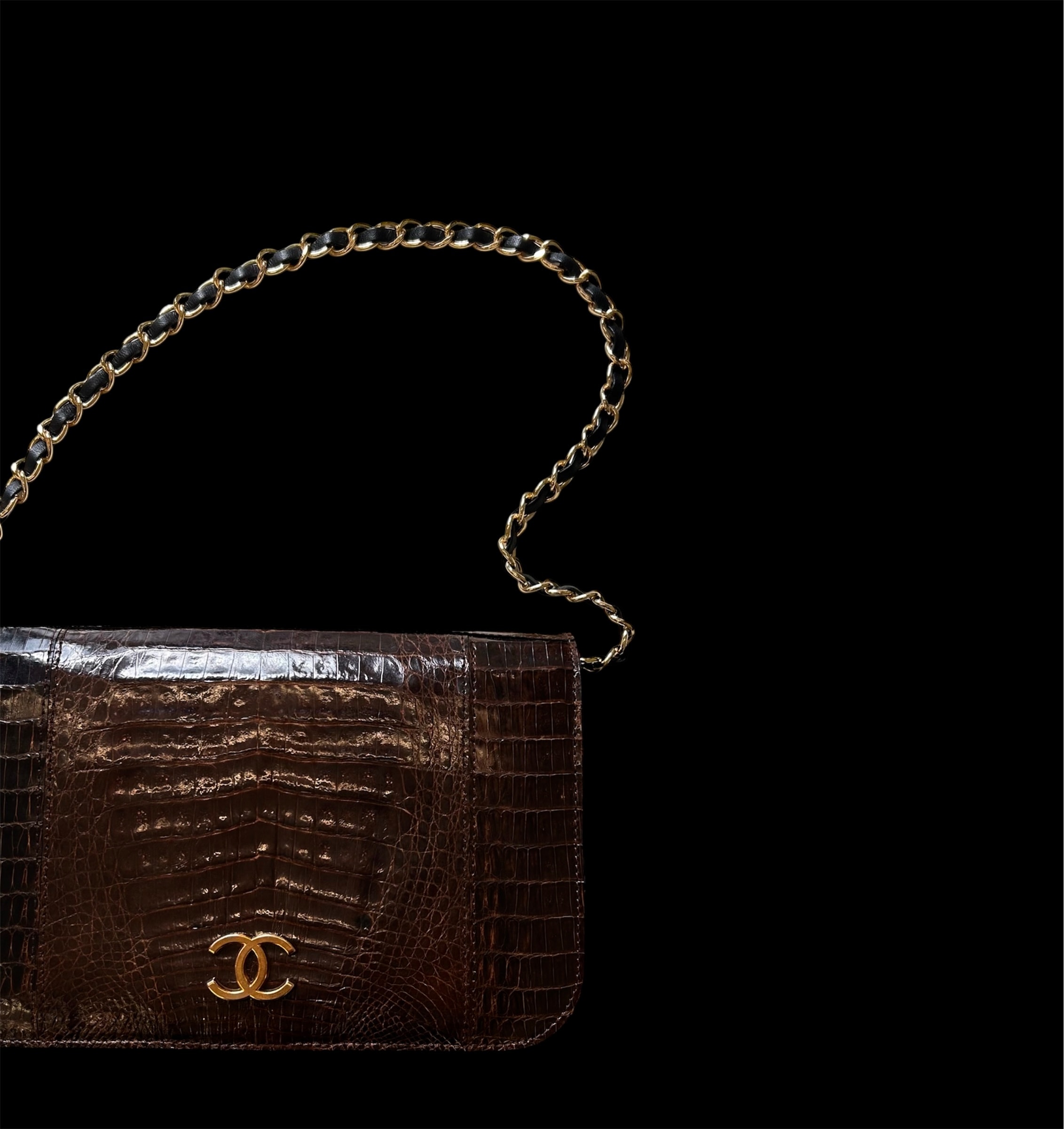GENUINE vintage crocodile bag X hanger CC objet no.50