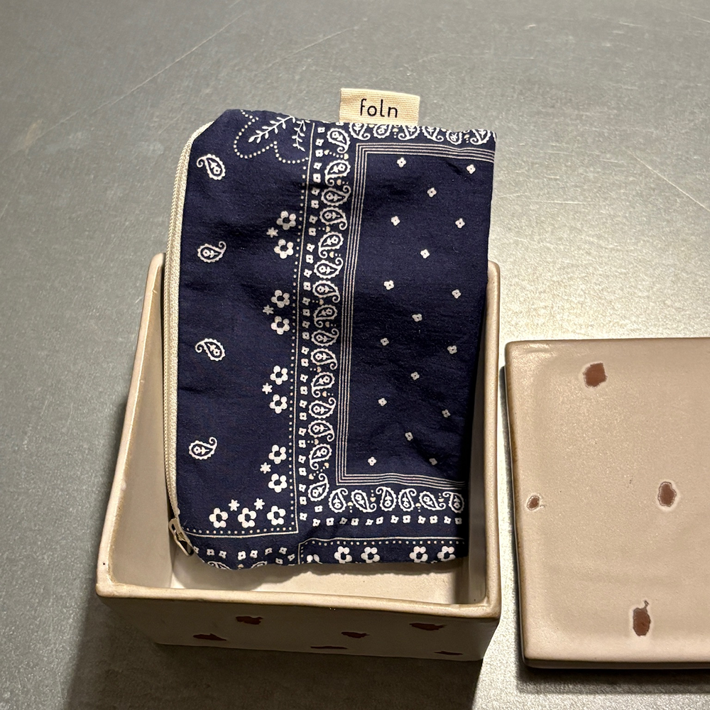 paisley pouch