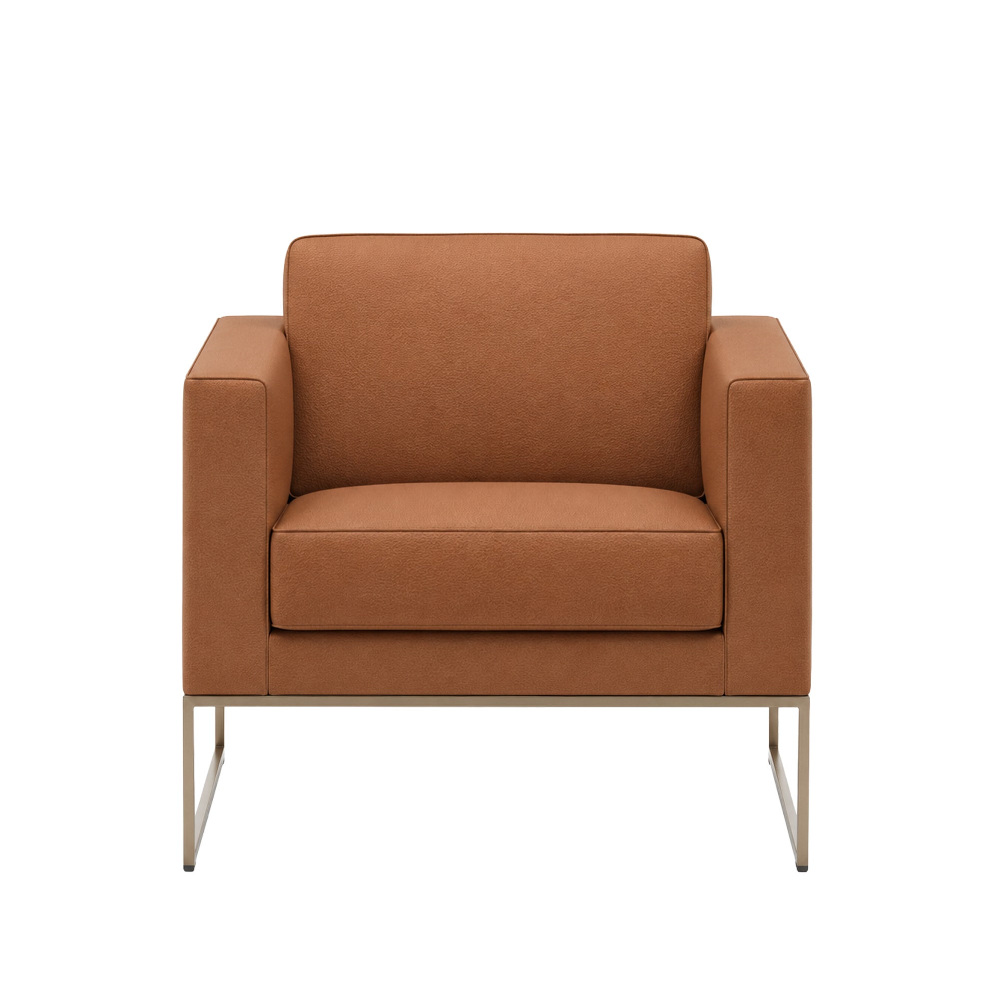De Sede | DS-160/01 Armchair