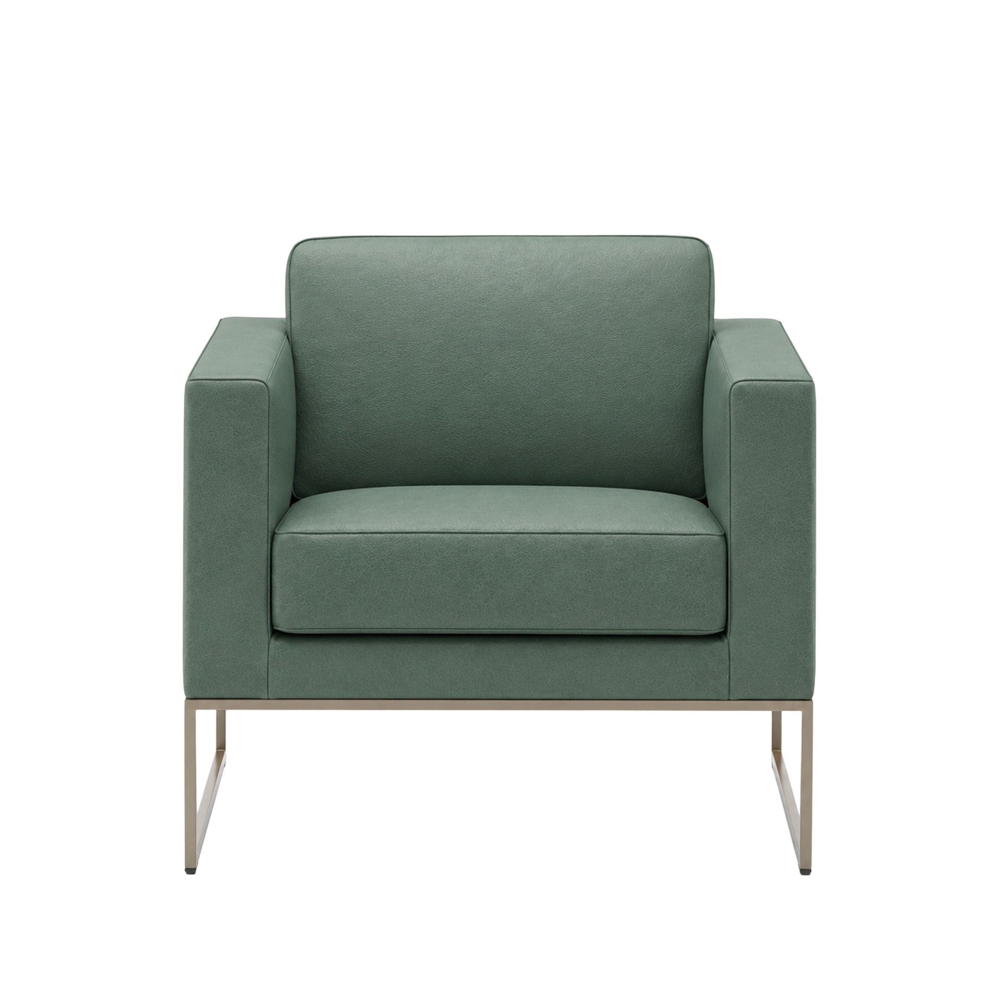 De Sede | DS-160/01 Armchair