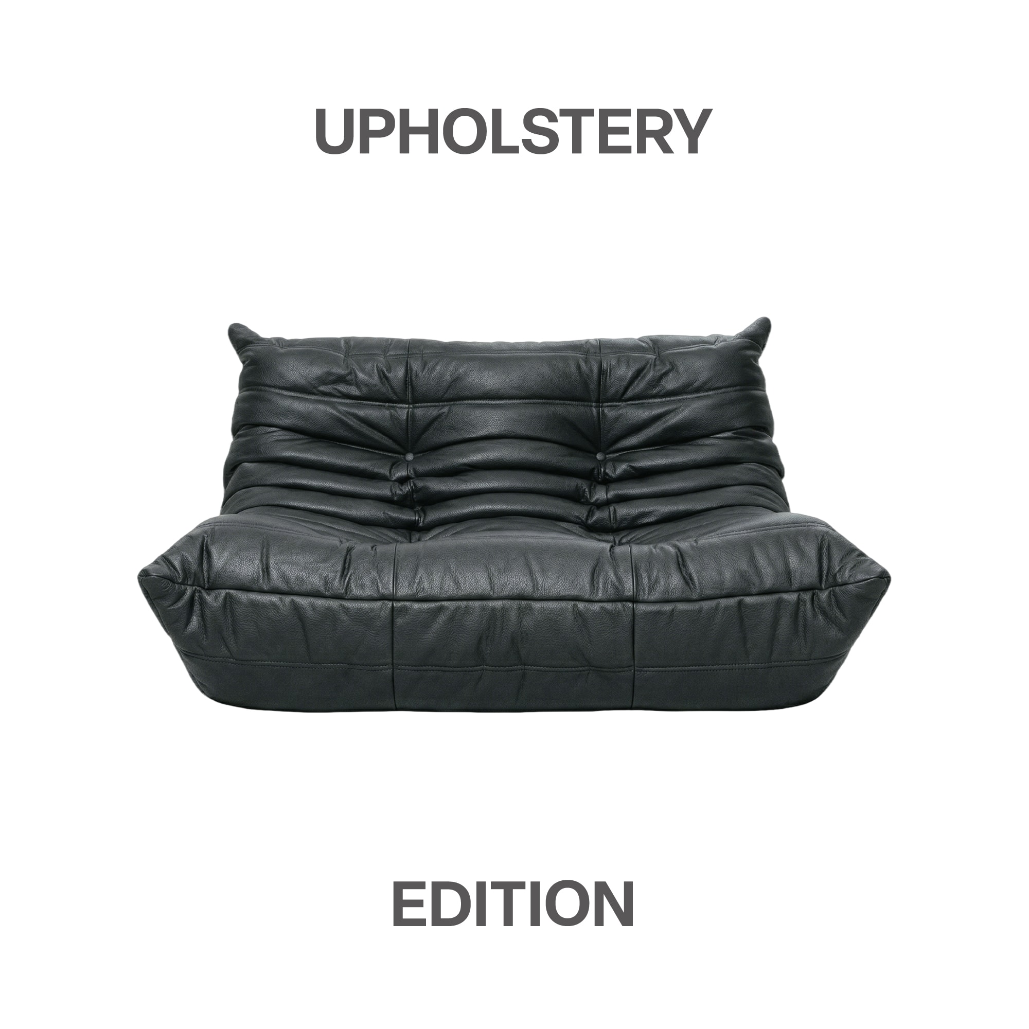 (Upholstery Edition) Togo 2-Seater Sofa