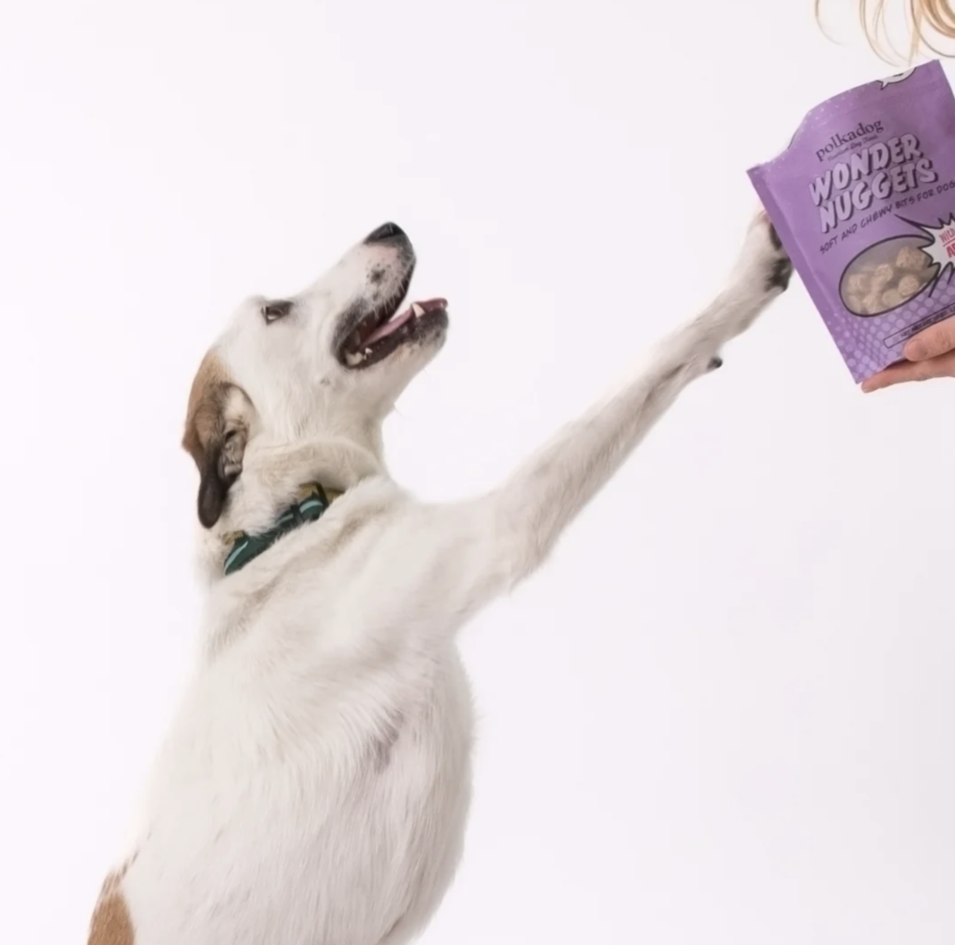 폴카독 베이커리 원더너겟 돼지간&사과 284g