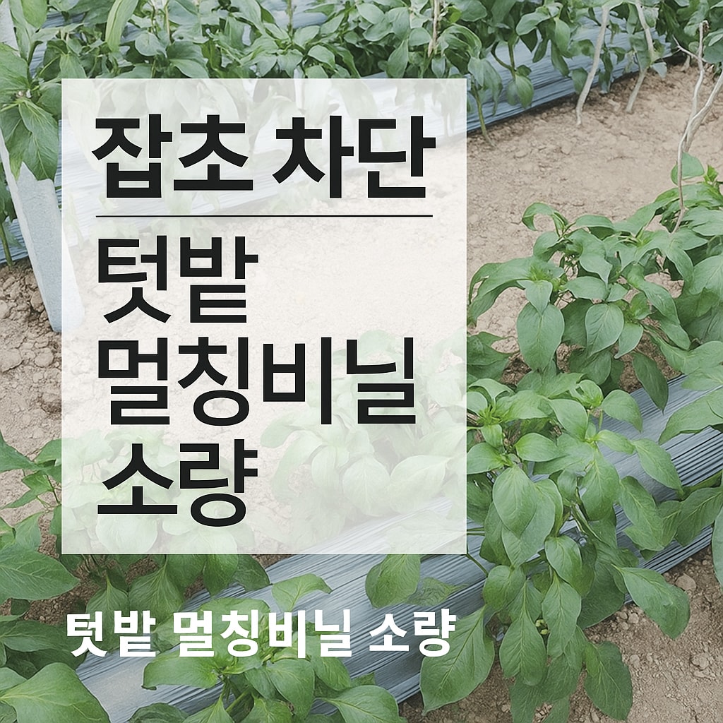 [당일발송] 무드무드 멀칭비닐 유공 주말농장 텃밭용 소량판매 잡초방지 (20%포인트적립)