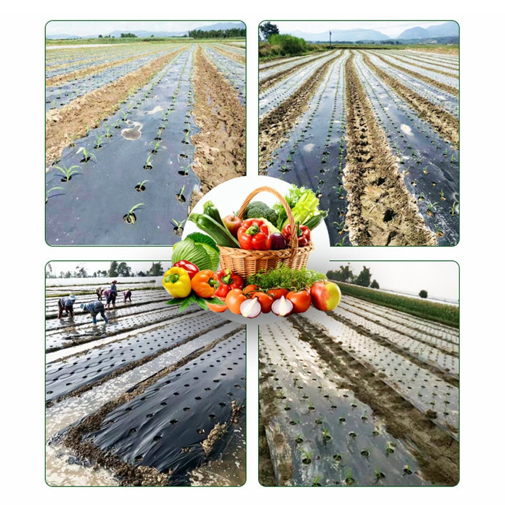 [당일발송] 무드무드 멀칭비닐 유공 주말농장 텃밭용 소량판매 잡초방지 (20%포인트적립)