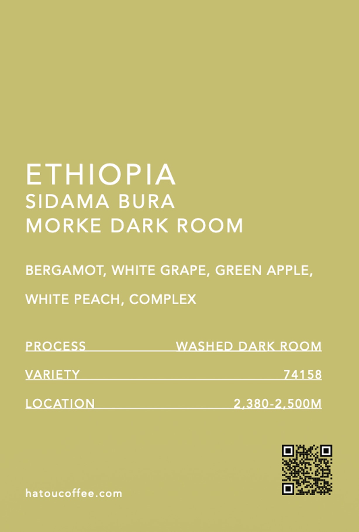 ETHIOPIA SIDAMA BURA MORKE DARK ROOM