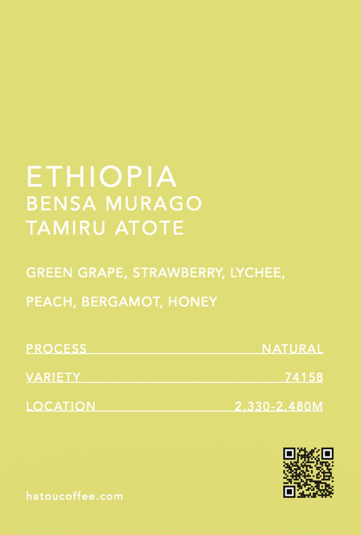 ETHIOPIA BENSA MURAGO TAMIRU ATOTE