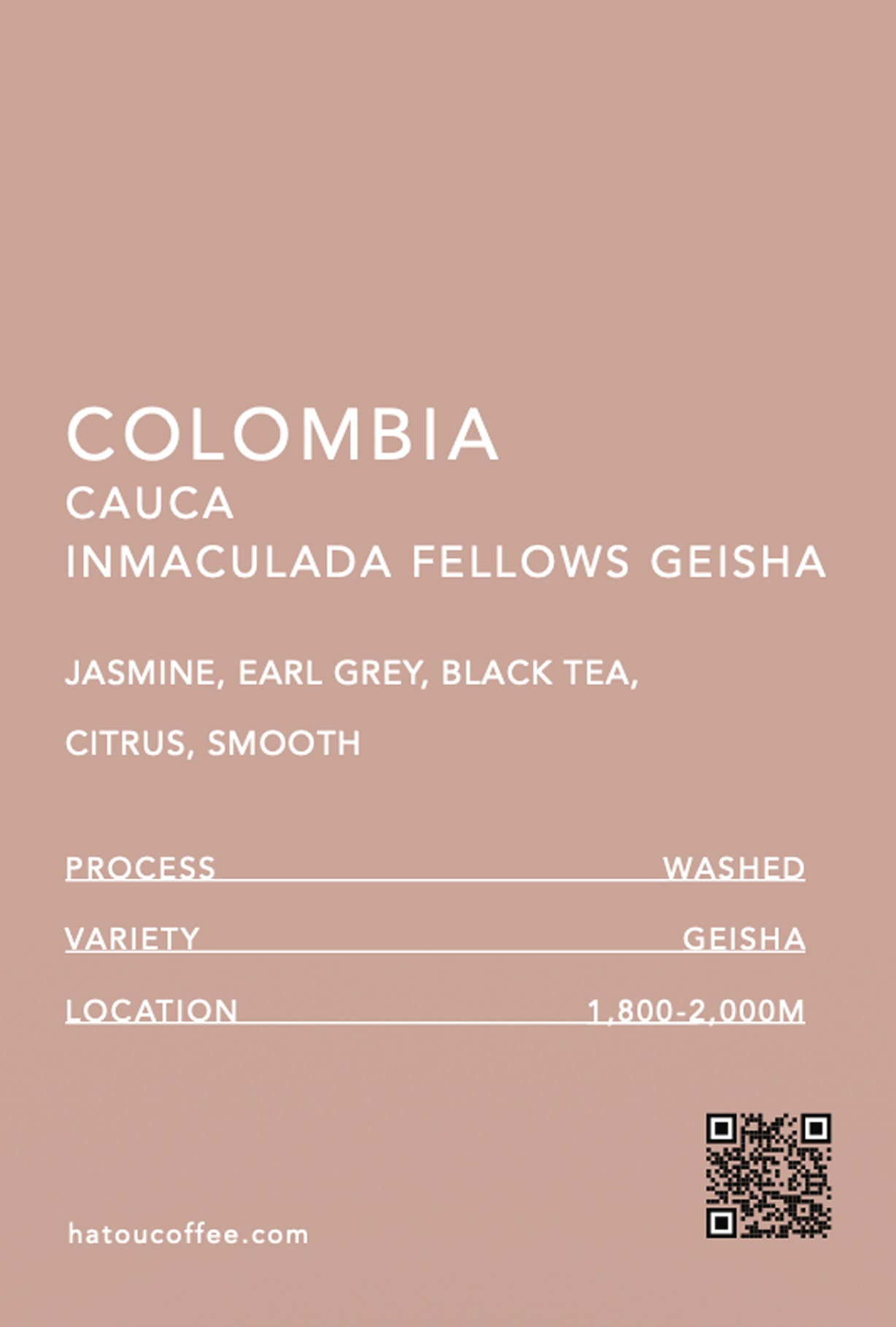 COLOMBIA CAUCA INMACULADA FELLOWS GEISHA