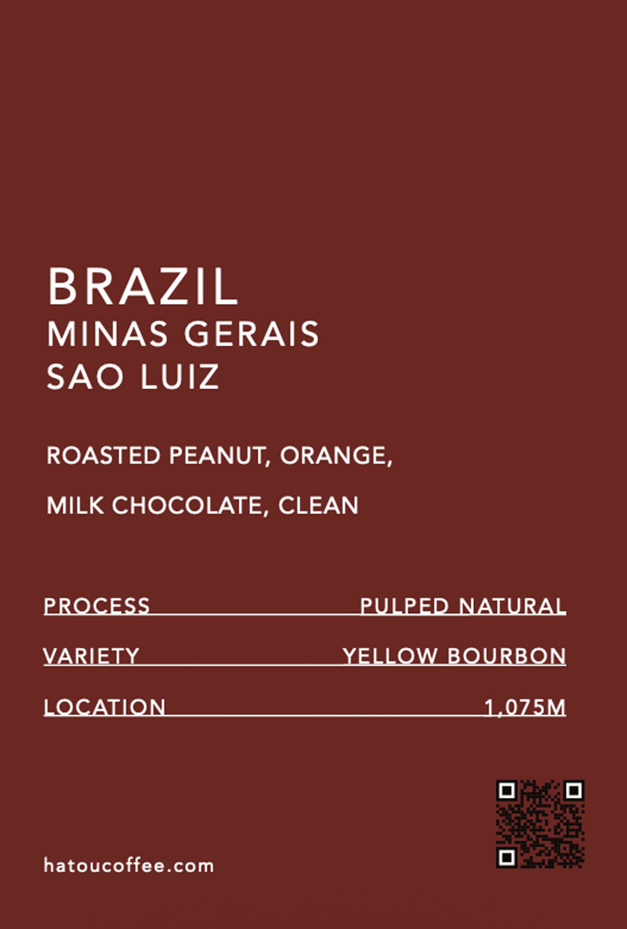 BRAZIL MINAS GERAIS SAO LUIZ