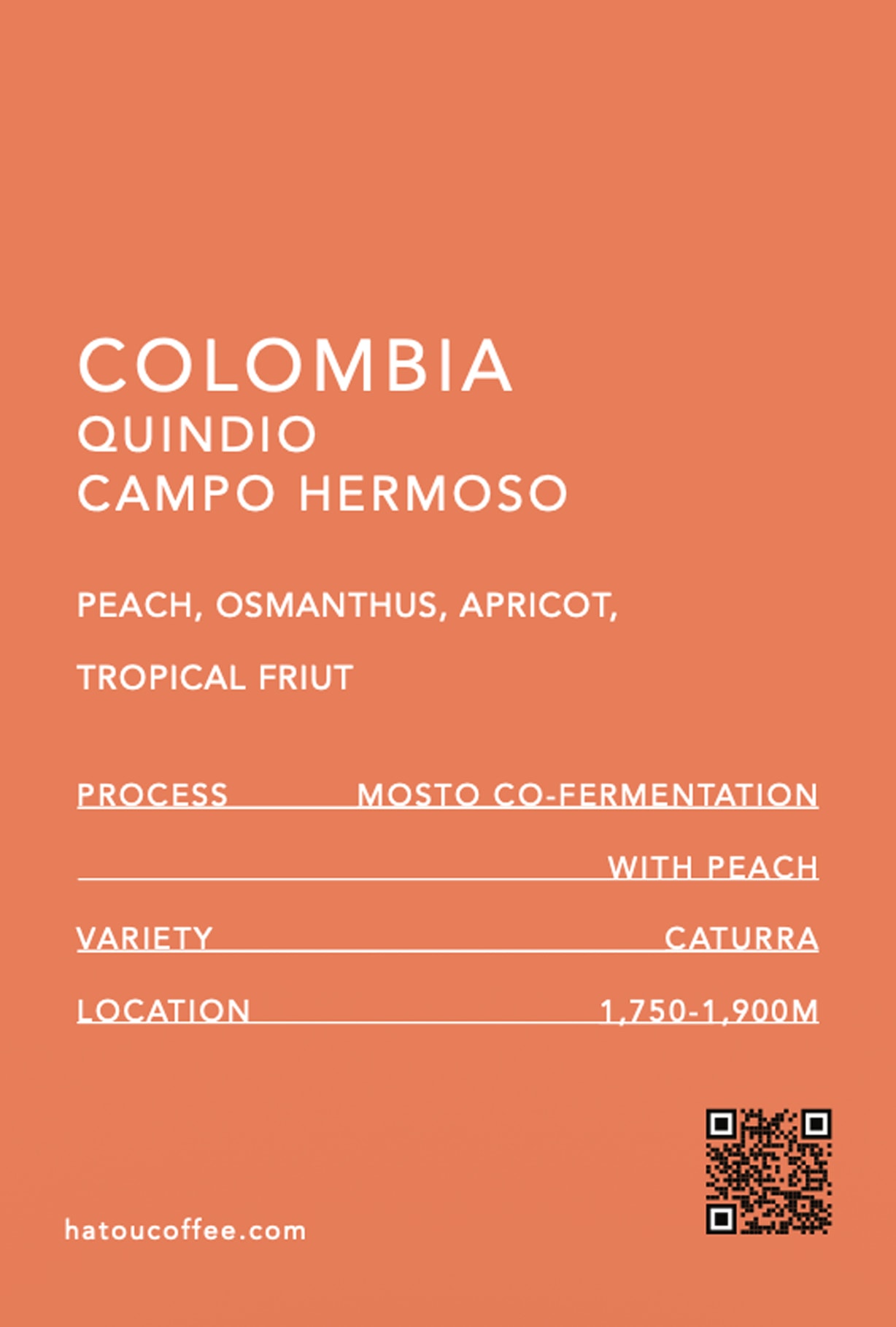 COLOMBIA QUINDIO CAMPO HERMOSO PEACH