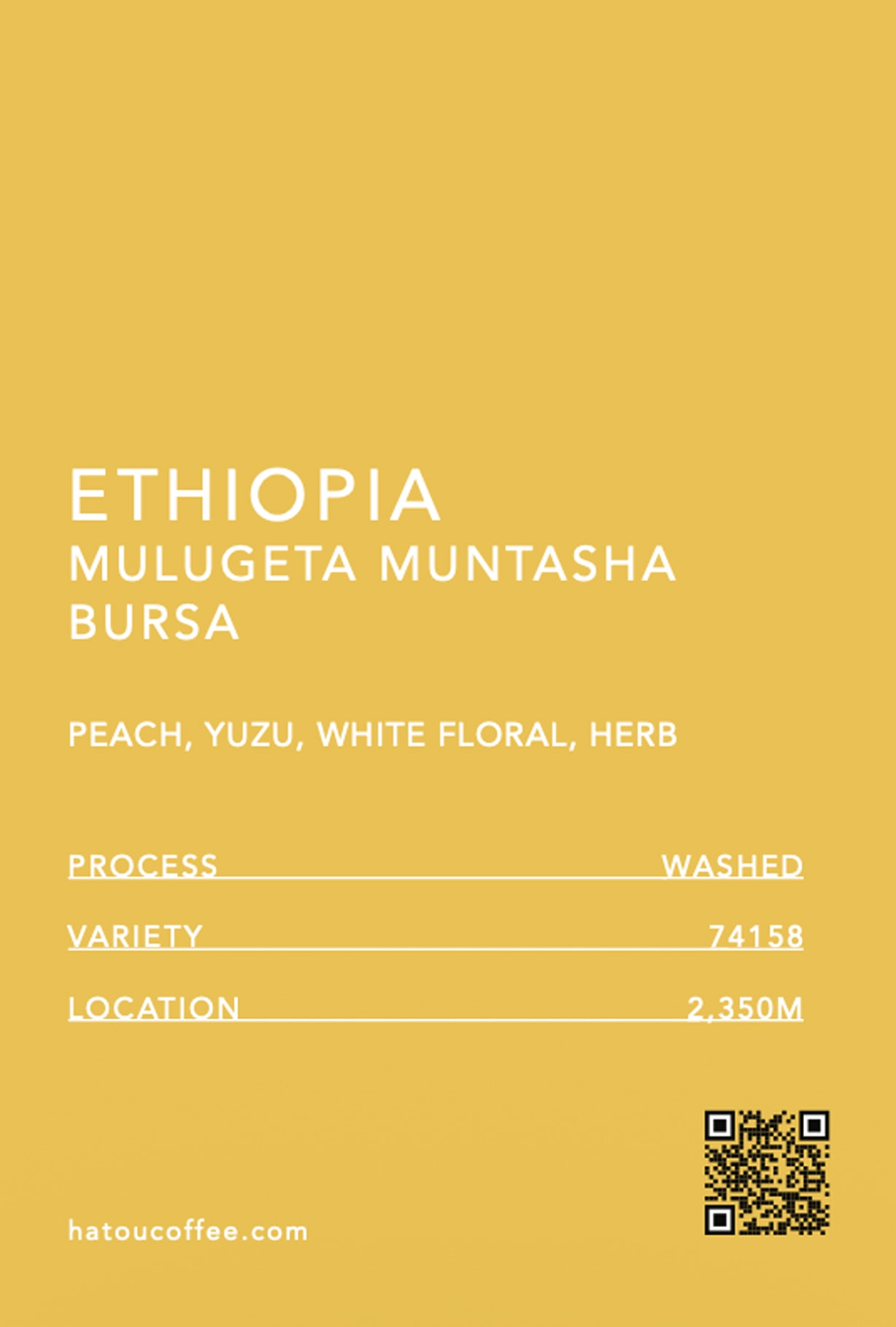 ETHIOPIA MULUGETA MUNTASHA BURSA