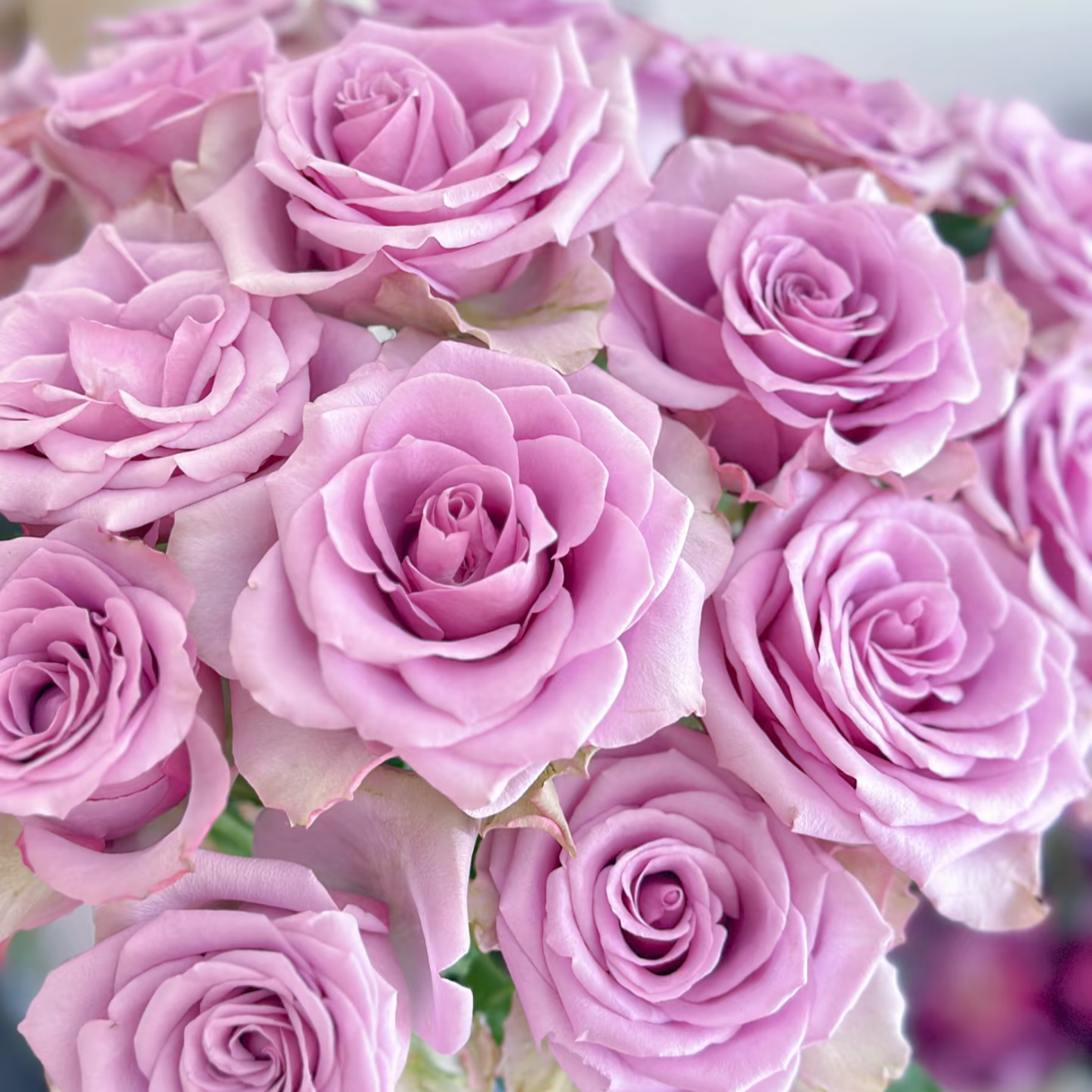 나이팅게일