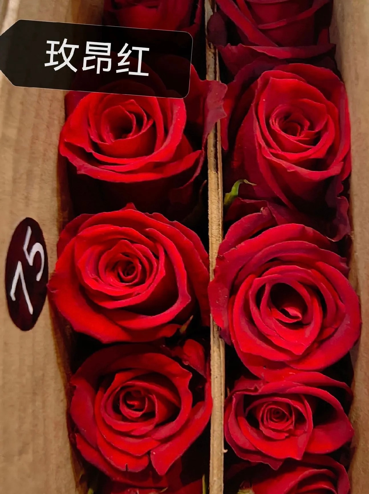 메이카타나