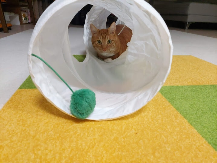 기능성타일카페트