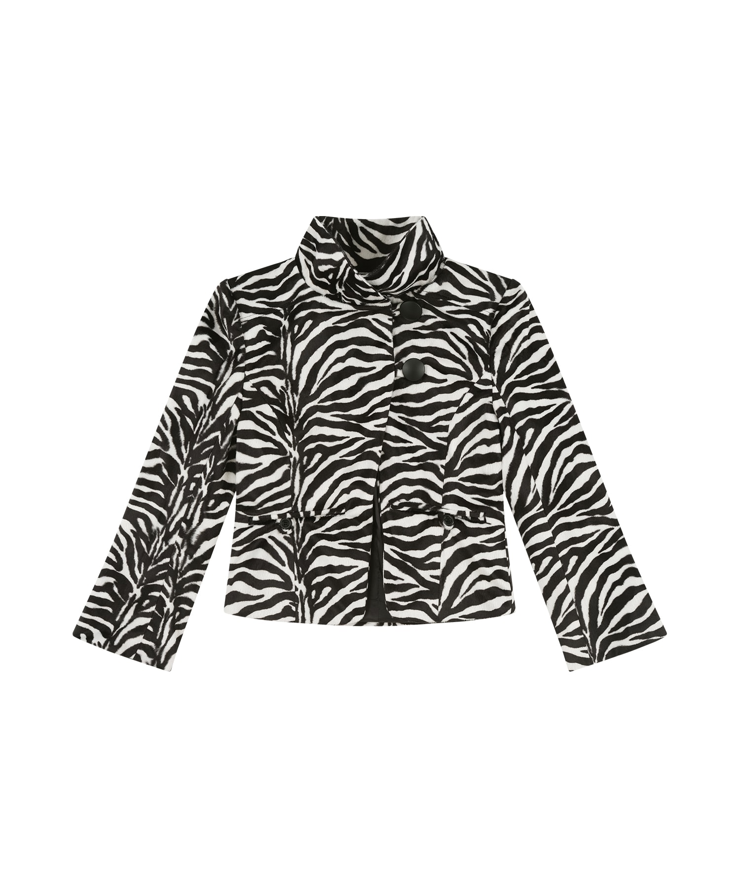 Quarter Cut High-Neck Jacket Zebra